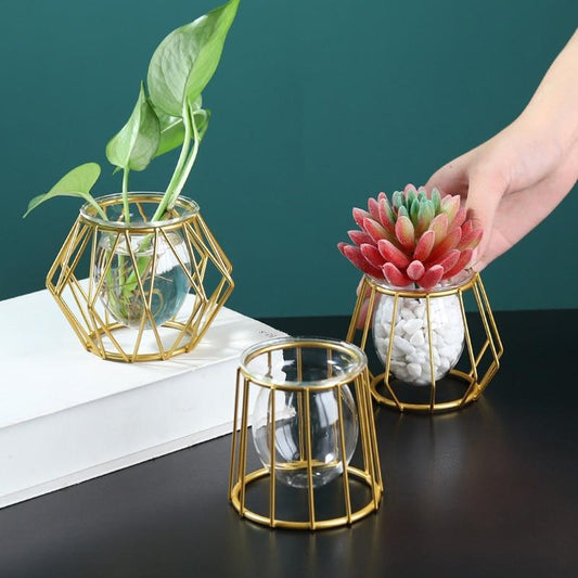 Iron Golden Hydroponic Glass Vase